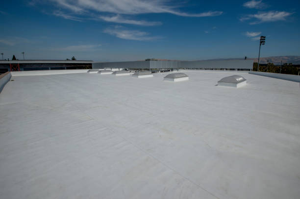 Trusted Elmwood Park, IL Roofing Services Experts