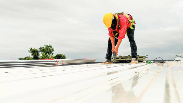 Best Green or Eco-Friendly Roofing Solutions  in Elmwood Park, IL