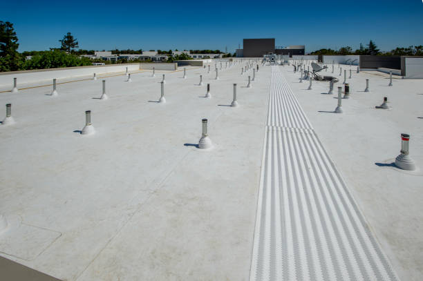 Best Rubber Roofing (EPDM, TPO)  in Elmwood Park, IL